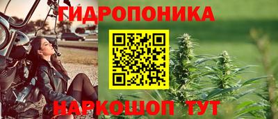 эйфоретик Бердск